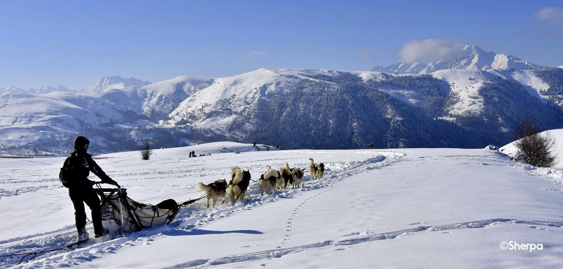 Les Gourgs Blancs - 80M Des Pistes - 6 Personnes Daire Génos Dış mekan fotoğraf